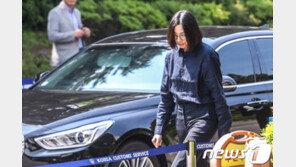 조현아 남편 “아내가 상습폭행”…이혼소송 중 고소