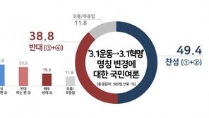 “3·1운동→3·1혁명 개칭, 찬 49.4% vs 반 38.8%” 리얼미터