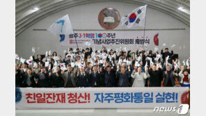 ‘3·1운동’을 ‘3·1혁명’으로…명칭 개정 국민 절반 찬성