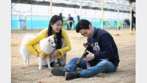 반려견과 함께하는 딸기 투어 어때요