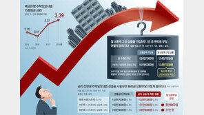 금리상승폭 2%P로 제한… 6억이하 주택에만 허용
