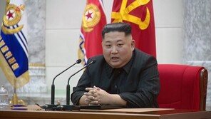 “김정은, 대미외교 반대파 50∼70명 숙청… 한성렬도 제거”