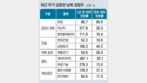 북미회담 바람 타고… 금강산-크루즈 등 남북 경협주 또 들썩