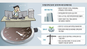 벤처-IT업계 “SW개발 몇달씩 걸려… 선택근로 기간도 늘려야”