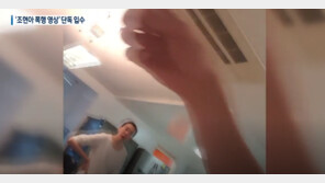 “죽어! 죽어버려!”…조현아 남편, 폭언·폭행 주장 영상 공개