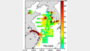 중국발 수은 매년 21톤씩 우리 서남해바다에 쌓여