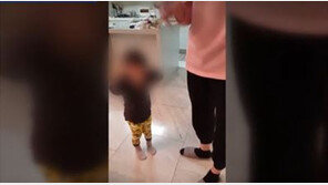 변호사 “조현아 폭행영상 공개, 여론지지 업고 양육권 얻을 목적”