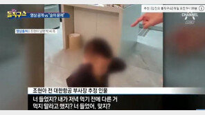 조현아, 삿대질하며 훈육…아이는 ‘귀’ 막고 부동자세