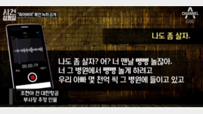 조현아-남편 통화 녹취 “미친X·거지XX같이,병원서 놀려고 아빠돈 몇천억…”