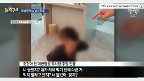 [영상]조현아, 아들 면박도 영어로만?…남편 공개 영상에 시선집중 