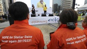 스텔라데이지호 유해 추정 뼈 발견됐지만…“수습 장담 못해”