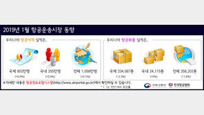 겨울방학 해외여행 급증…1월 항공여객 역대 2위 경신