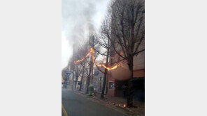 순찰 중 불길 휩싸인 전선 발견한 경찰관, 신속한 대처로 큰 화재 막아