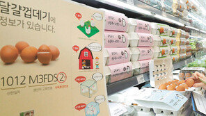 “산란일자 보고 달걀 고르세요”