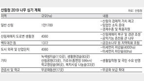 산림청, 올해 서울 남산의 74배 면적에 5000만 그루 나무 심는다