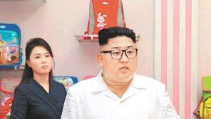 리설주, ‘김정은 열차’에 미탑승…김종대 “북미관계 아직 서먹서먹”