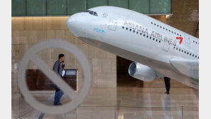 인천~몽골 하늘길 복수체제로…대형항공사 운임·서비스 경쟁 속도낼까