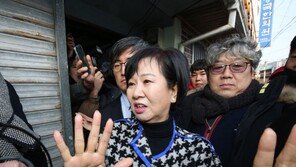 검찰, 손혜원 부친 독립유공자 선정 의혹도 수사한다