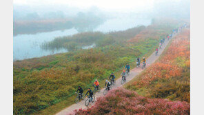 증평군 ‘자전거 도로’ 올해 마무리하기로