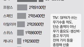 獨, 사우디 무기판매 금지 英-佛 수출길 막혀 발동동