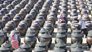 장독대에 내려앉은 봄햇살