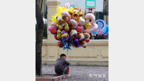 [고양이 눈]풍선 타고 나는 꿈
