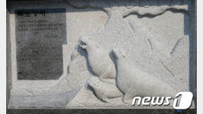 국내 최초 독도 바다사자 ‘강치’ 뼈에서 유전자 정보 발견