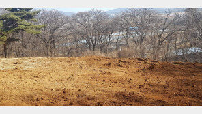 성남 심곡동 토지, 강남 세곡동과 인접… 17계좌 공급