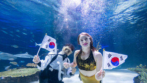 한화 아쿠아플라넷 3·1절 프로모션