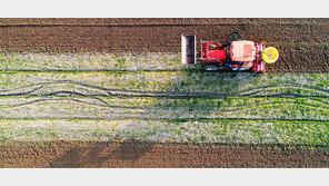 남도 들녘은 벌써 ‘봄, 봄, 봄’