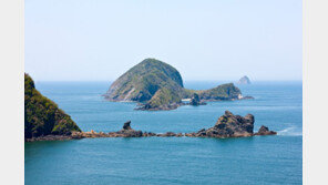 ‘벚꽃 자월도·동백꽃 외연도’…봄철 가볼만한 섬 7곳 선정