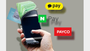 금융결제 인프라 혁신 속도…한국판 ‘알리페이’ 나올까