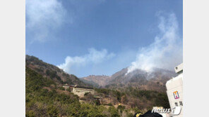 “우울증에 아들마저 아파”…부산 승학산 방화 혐의 50대 검거