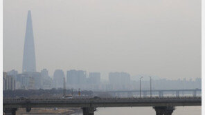 ‘중국발 초미세먼지’ 3·1절까지 지속…공공부문 2부제