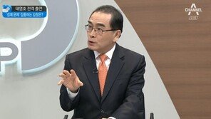 北 “영변 핵시설 해체” vs 美 “그걸론 안돼” 태영호 설명 대로…