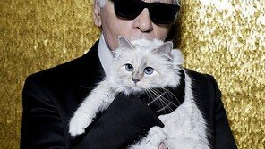 고양이에 2200억 원 상속? 애완동물 부자 리스트 보니…
