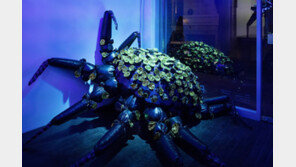 비닐로 만든 怪생명체… 화려함 속에 깃든 허무