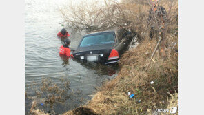 에쿠스 음주운전하다 강물 빠지자 몸만 빼내 집에 가버린 40대
