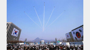 3·1운동 100주년 축하비행