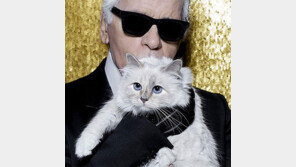 패션디자이너 라거펠트 2200억 유산 상속자는 8세 반려묘 ‘슈페트’?