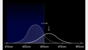 유해 ‘블루 라이트’ 줄인 갤S10, 배경엔 삼성디스플레이 기술력