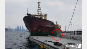 요트 들이받고 광안대교 돌진 ‘러 화물선’ 이상한 동선…선장 구속영장 신청