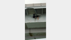 하태경 “선박 충돌 광안대교 100분 간 방치한 부산시 해명해야”