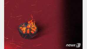 10대 3명 남양주서 동반 극단선택…1명 사망·2명 중태