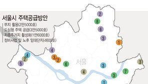 서울시, ‘주택 8만호 공급계획’ 묘안 찾는다