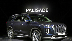 현대차 2월 내수 판매 호조… 팰리세이드·싼타페·G70 인기 