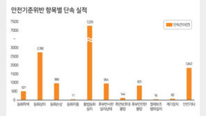 차량위반 4건중 3건은 ‘등화장치’…불법개조는 12%