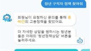 “연봉 3000 이상 찾아줘” 취준생 묻고 ‘챗봇’이 답한다