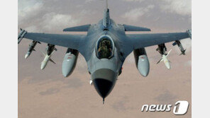 “파키스탄, F-16으로 인도기 격추했나”…美 확인나서