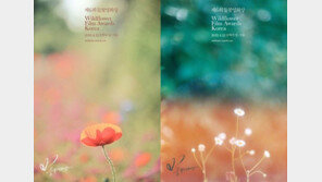 봄의 독립영화 축제 ‘들꽃영화상’ 4월12일 개최